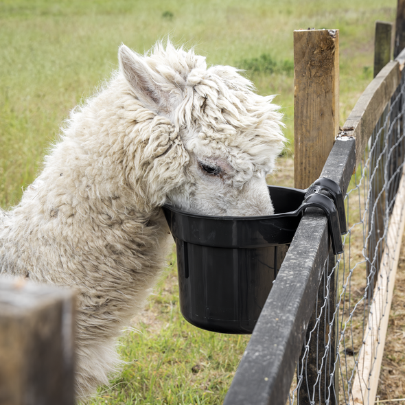 AFT05_ACT_IN_USE_PIC4