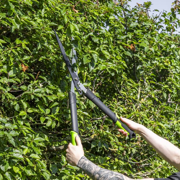 GTSG018_ACT_IN_USE_PIC3