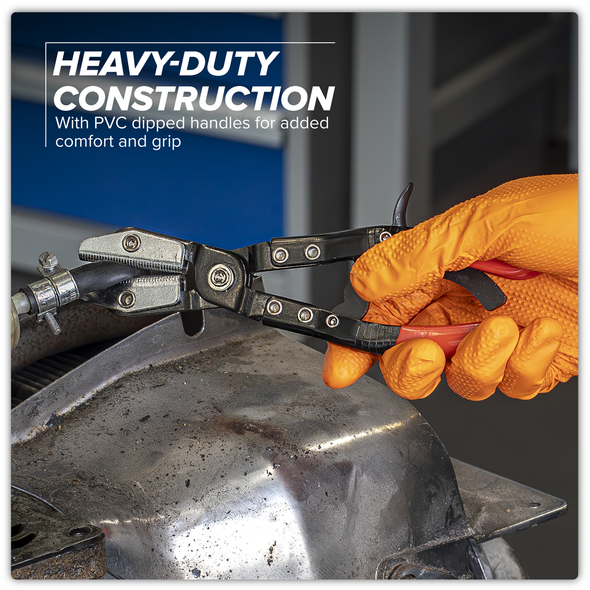 VS0034_ACT_LIFESTYLE_INFOGRAPHIC