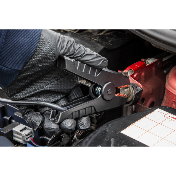 RS2000_ACT_LEAD_PIC2