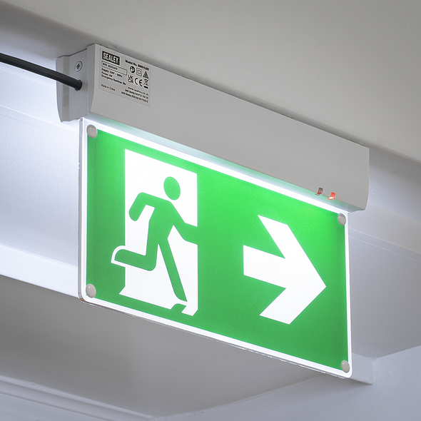 EM01LED_ACT_IN_SITU_PIC2
