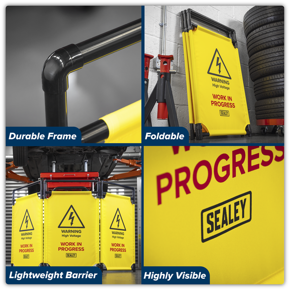 EV20_ACT_MULTI_IMAGE_INFOGRAPHIC