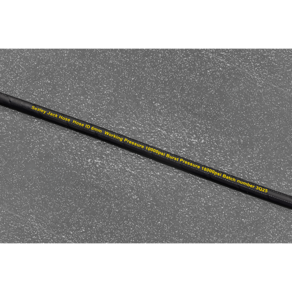 RE111_ACT_HOSE_DETAILS