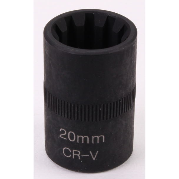 VS0322-05