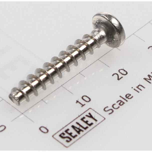 Rd head s/t screw m4x24 [WP845] - SEALEY
