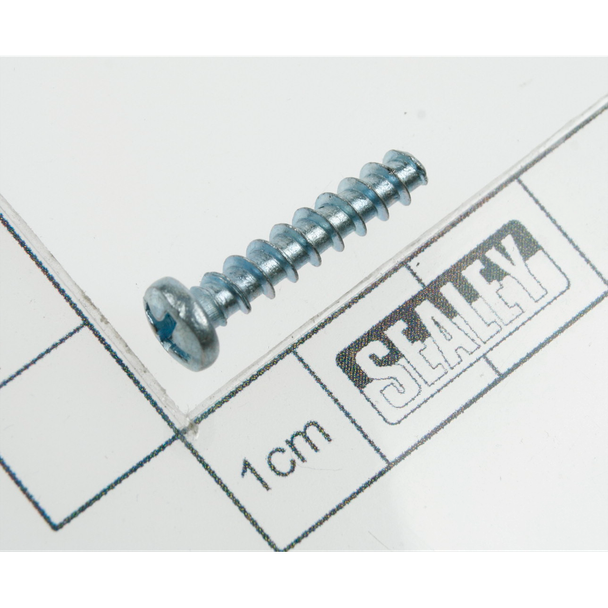 Rd head s/t screw m3.9 x 20 [SG115.V2-10] - SEALEY