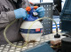 Vehicle Servicing