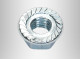 Flange Nuts
