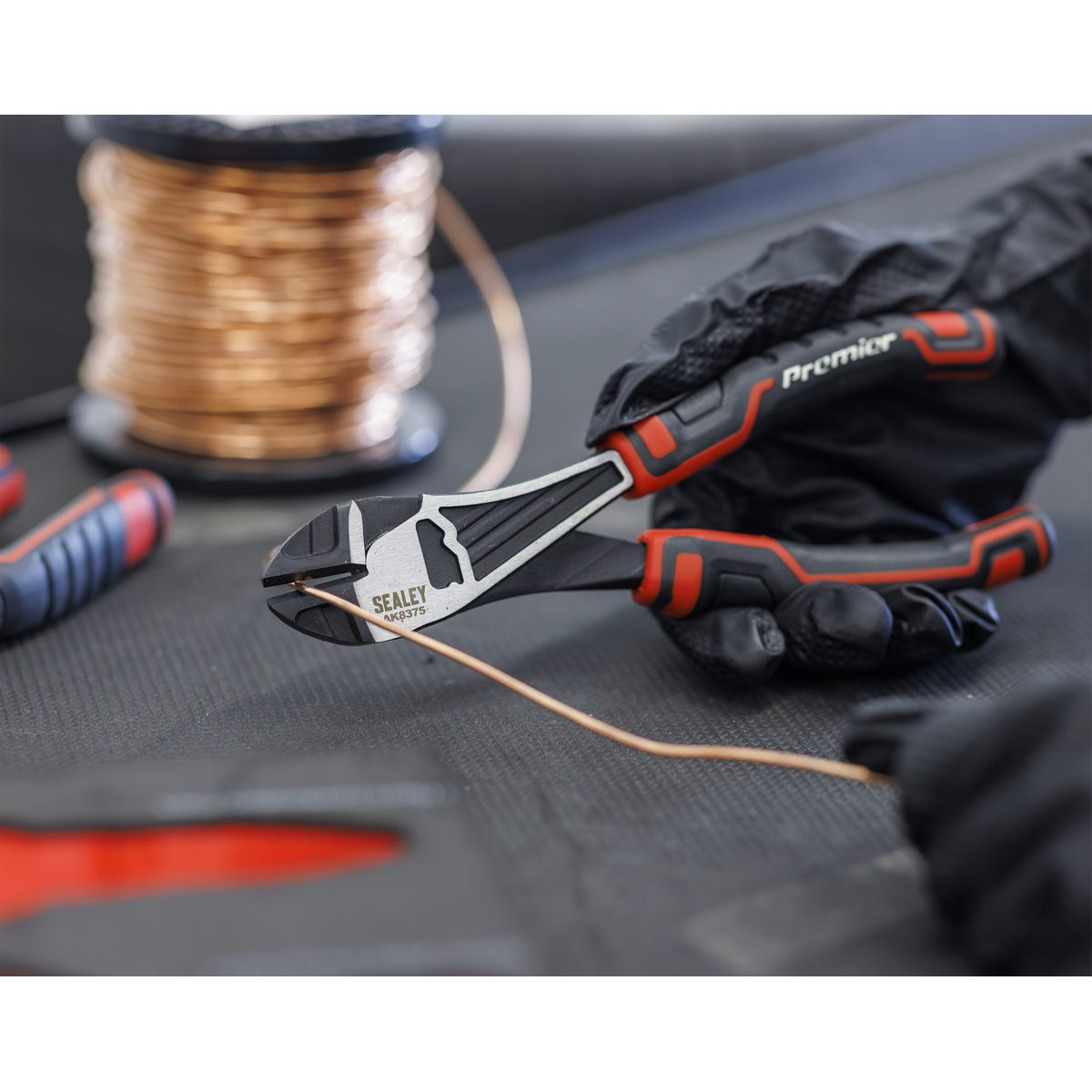 Pliers Set with Tool Tray 4pc | TBT56 | Sealey