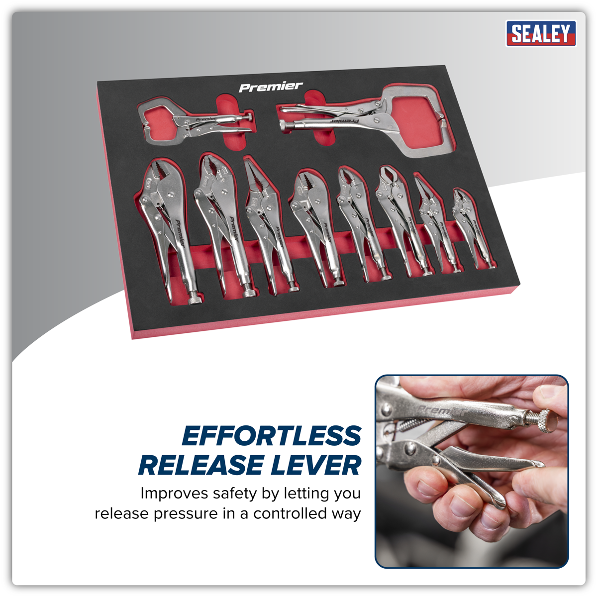 Locking Pliers Set with Foam Tray 10pc | AK6802 | Sealey
