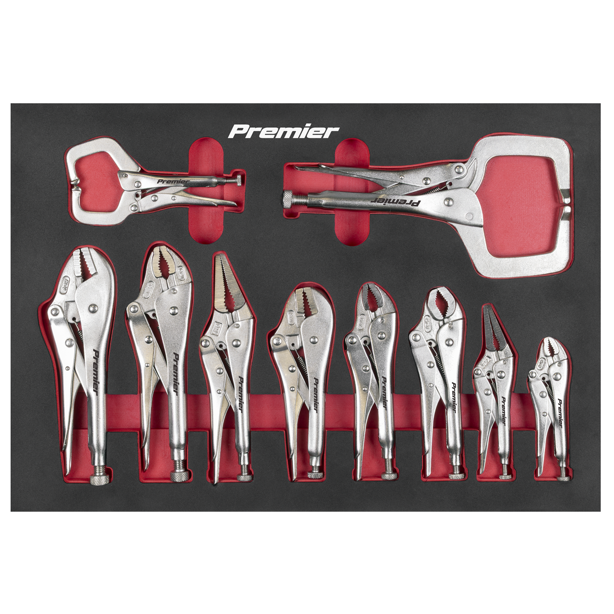 Locking Pliers Set with Foam Tray 10pc | AK6802 | Sealey