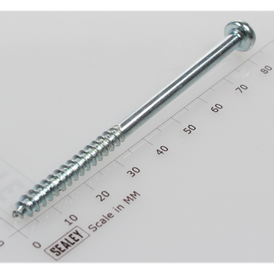 Rd head s/t screw m3.8 x 80 [SM355B.08] - SEALEY