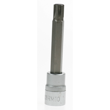 Ribe socket bit (m10) 3/8
