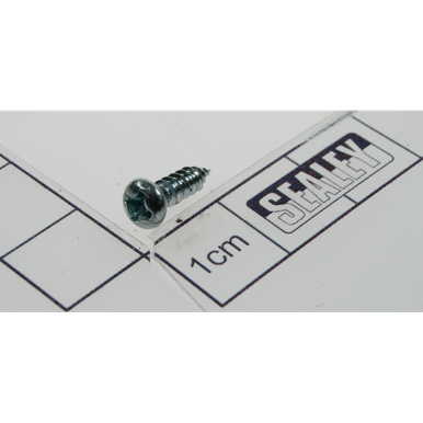 Rd head s/t screw m3x10 [SDH30.17] - SEALEY