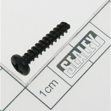 Rd head s/t screw m3.8 x 20 black [ER1700PD.34] - SEALEY