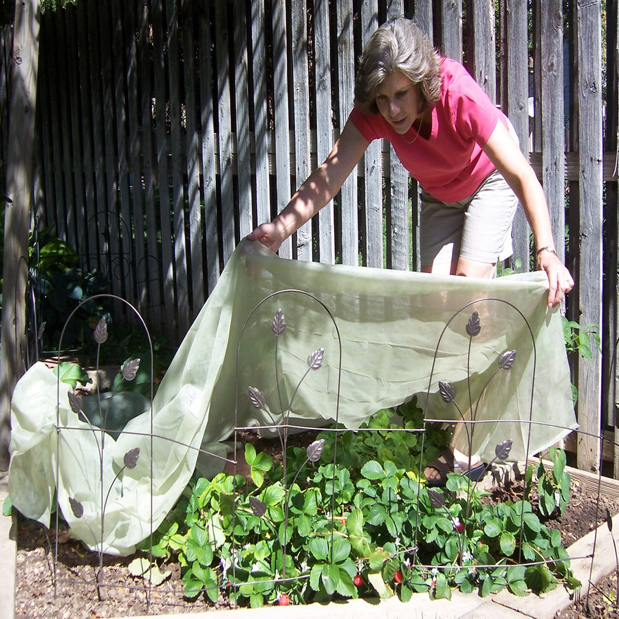 Protecting your berries is easy with Floating Row Frost Cover | Frost Cloth | Frost Blanket | Frost Cover