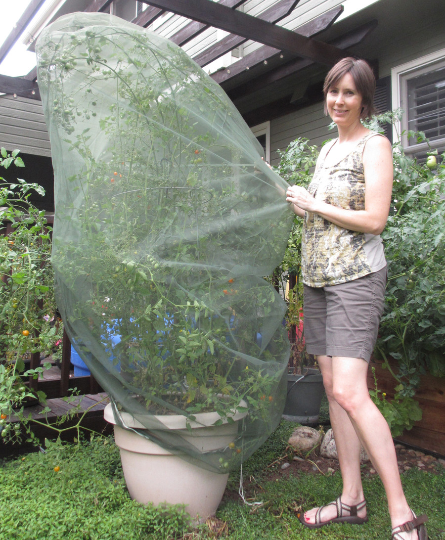 Insect Net Bag protects plants from pests. It fits small patio trees, citrus trees, tall tomato cages, and any plant up to 6 feet tall.