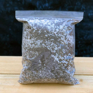 Regular soil mix for Sarracenia, flytraps, and sundews. Regular soil mix for Sarracenia, flytraps, and sundews.