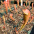 Sarracenia Bug Bat for Sale