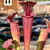 Sarracenia Fukada