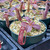 Nepenthes (maxima x glandulifera) x glandulifera