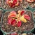 Dionaea Flexx Flytrap