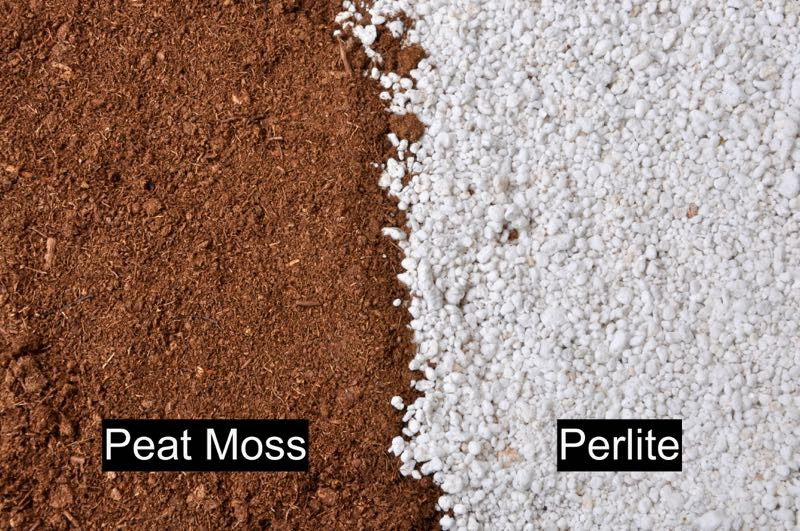 Soil, Peat/Perlite Mix [Gallon Bag]