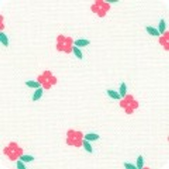 Hints of Prints 21899 10 Pink One Yard
