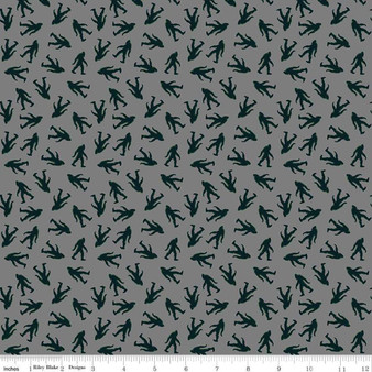 Legends of the National Parks C15061Gray One Yard