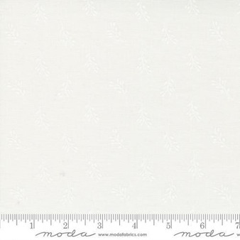 Coriander Seeds 29145 11 One Yard