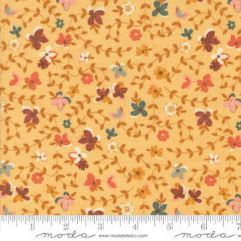 Acorn Hollow 30761 12 One Yard