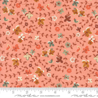 Acorn Hollow 30761 15 One Yard