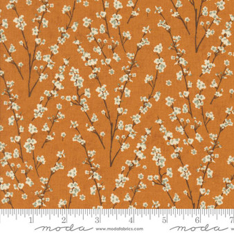 Acorn Hollow 30765 16 One Yard