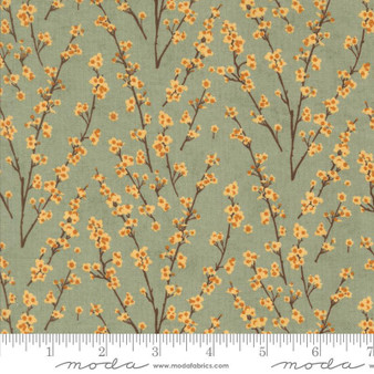 Acorn Hollow 30765 18 One Yard