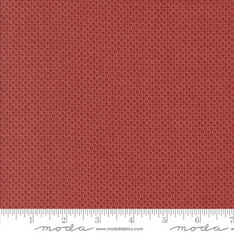 Prairie Gatherings Flannels 49317 20F One Yard