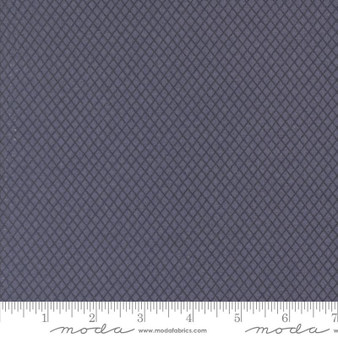 Prairie Gatherings Flannels 49316 16F One Yard