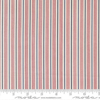 American Gatherings III 49321 11 One Yard