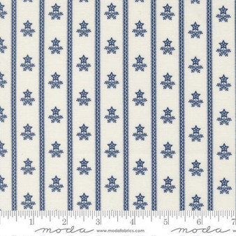 American Gatherings III 49322 24 One Yard