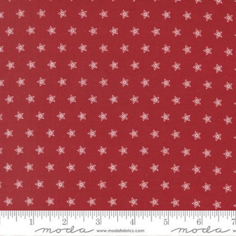 American Gatherings III 49324 12 One Yard