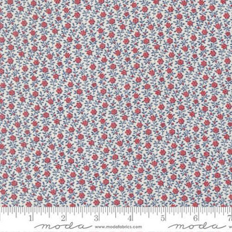 American Gatherings III 49326 11 One Yard