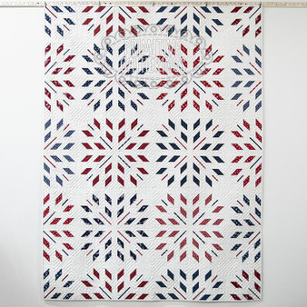 Bursting with Pride Quilt Kit