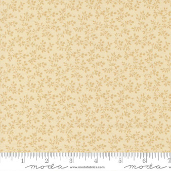 Pamelia's Path 47554 11 One Yard