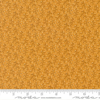 Pamelia's Path 47557 16 One Yard