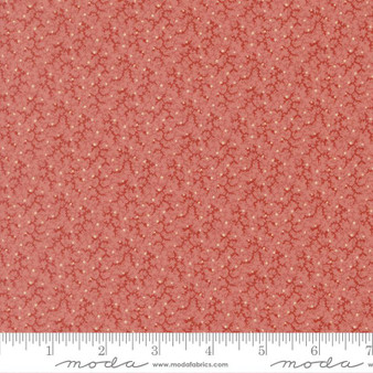 Pamelia's Path 47557 17 One Yard