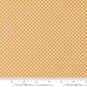 Pamelia's Path 47559 12 One Yard