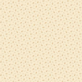 Prairie Backgrounds II R171843D Cream One Yard