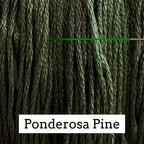 Classic Colorworks Hand Dyed Floss 5 yds Ponderosa Pine
