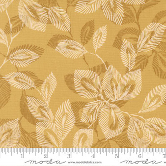 Arabesque 33831 13 One Yard
