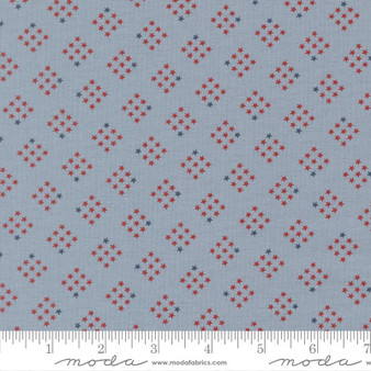 Independence Day 55726 32 One Yard