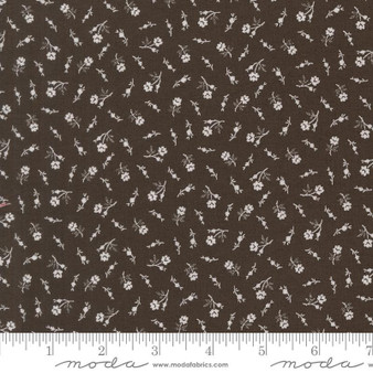 Wildflower Gatherings 49351 21 One Yard PREORDER ($13.49/yard)